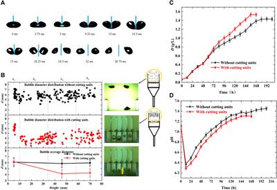 Effects of bubble cutting dynamic behaviors on microalgal growth in bubble column photobioreactor with a novel aeration device